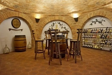 Chata a glamping - vinn� sklep a baz�n - Znojemsko