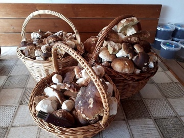 Chalupa s apartm�ny - Chur��ov - Kvilda - �umava