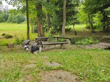 Chata na samot� - Mod��nov� vrch - Jesen�ky