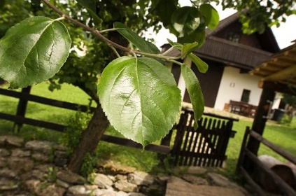 Roubenka Strovsk vrchy - skanzen imany