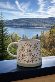Chata u lesa - p�ehrada Lipno - ji�n� �echy