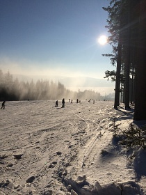 Vila Lipno - Frymburk - ubytování Lipno