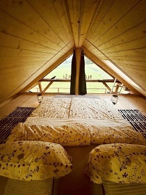 Wellness srub samota u lesa - Glamping Klatovsko