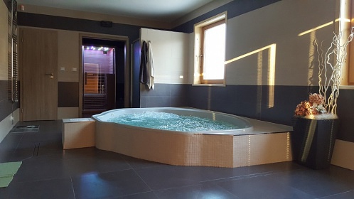Chata s wellness - Skorsk rybnk - esk Krumlov