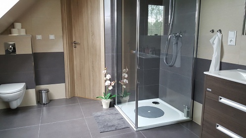 Chata s wellness - Skorsk rybnk - esk Krumlov