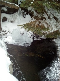 Horská chata pod Špičákem - Černé jezero - Šumava