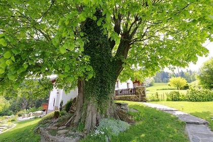 Chalupa na �bo�� Ond�ejn�ka - v Beskydech