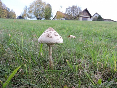 Chalupa na �bo�� Ond�ejn�ka - v Beskydech