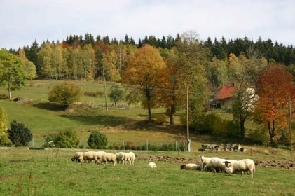 Chata s baz�nem - Vala�sko - Ro�nov pod Radho�t�m