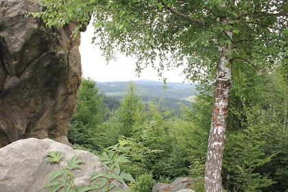 Wellness Penzion s baznem - ZOO Len - Zlnsko