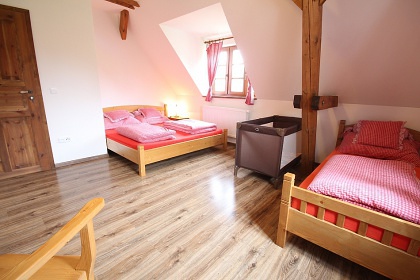 Chalupa bazén a sauna - Sněžné - Sedloňov