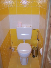 Wellness chalupa - vnitn bazn - Opoensko