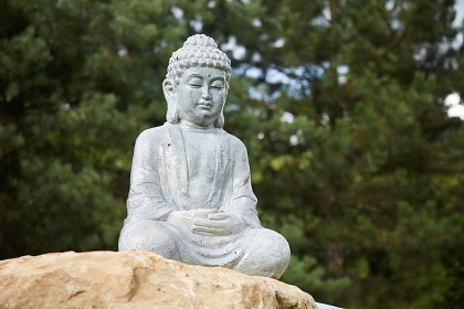 Srub SAMSARA - pronájem chaty Trutnov - Dolce