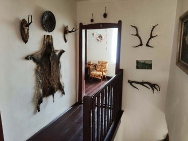 Chalupa wellness a bazn - esk les - Domalicko