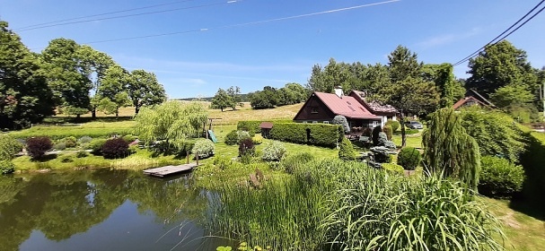 Poloroubenka s baznem - Detn v Orlickch h.