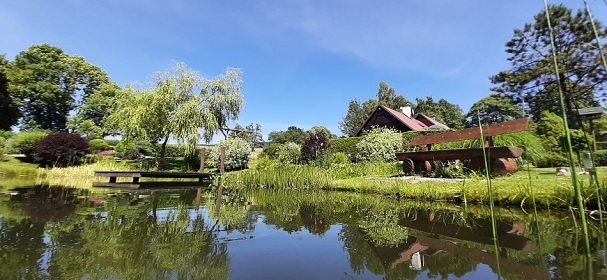 Poloroubenka s baznem - Detn v Orlickch h.