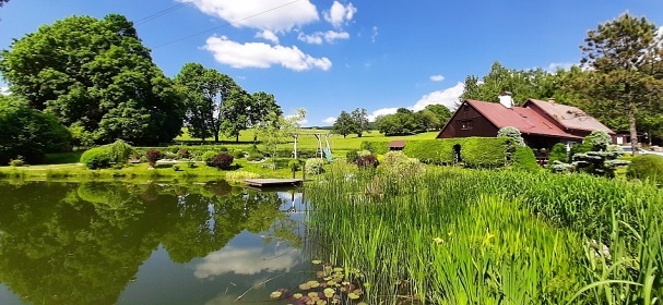 Poloroubenka s baznem - Detn v Orlickch h.