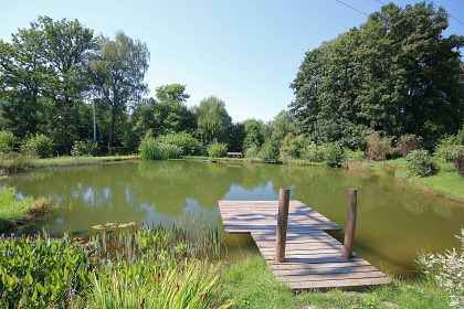 Poloroubenka s baznem - Detn v Orlickch h.