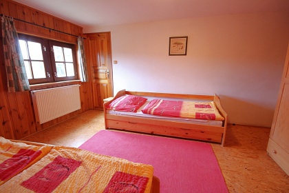 Poloroubenka s baznem - Detn v Orlickch h.