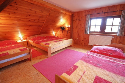 Poloroubenka s baznem - Detn v Orlickch h.