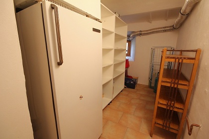 Poloroubenka s baznem - Detn v Orlickch h.