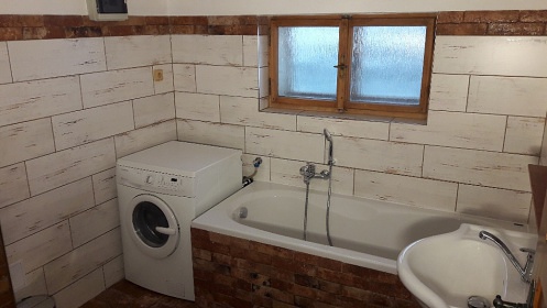 Poloroubenka s baznem - Detn v Orlickch h.