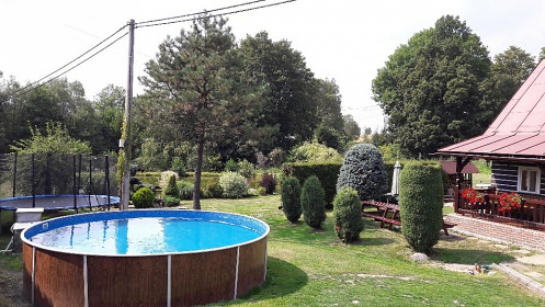 Poloroubenka s baznem - Detn v Orlickch h.