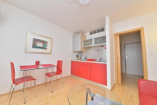 Apartmán - Srní 119 - ubytování Šumava