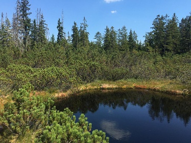 Apartmn pro dva - panorama umavy - Zelen hora