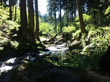 Chata Martinsk� �dol� - Krkono�e a Jizersk� hory