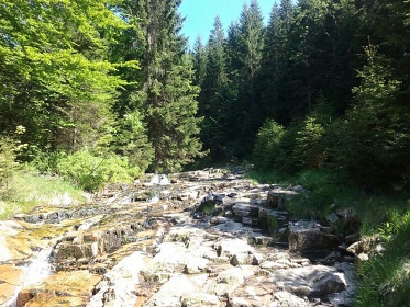 Chata Martinsk� �dol� - Krkono�e a Jizersk� hory