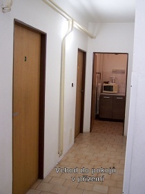 Chalupa s baz�nem - ko�sk� pastviny - Jizerky