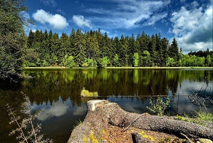 Chalupa Česká Kanada - hrad Landštejn - Hůrky