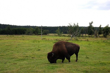 Chalupa esk Kanada - hrad Landtejn - Hrky