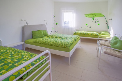 Apartmánová chata s bazénem - CHKO Blaník