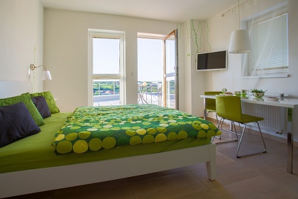 Apartmánová chata s bazénem - CHKO Blaník