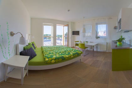 Apartmánová chata s bazénem - CHKO Blaník