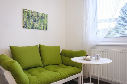 Apartmánová chata s bazénem - CHKO Blaník
