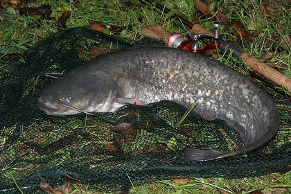 Chata Chmelnice - p�ehrada Vranov - hrad B�tov