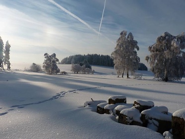 Chalupa venkovsk statek - esk Petrovice