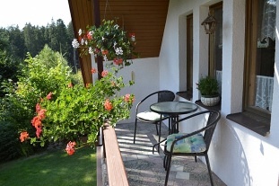 Chata s jezírkem - Žďárské Vrchy - Vysočina