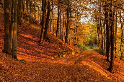 Chalupa s baz�nem - �esk� r�j a Podkrkono��