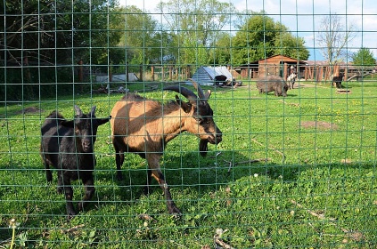 Chatka Aqualandia - Lipt. Mikuláš - Tatralandia