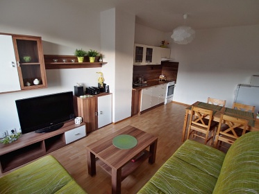 Pronájem apartmánu - Deštné v Orl. horách