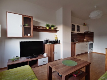 Pronájem apartmánu - Deštné v Orl. horách