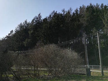 Pronájem chalupa u Hvězdy Anull - Staré Hutě