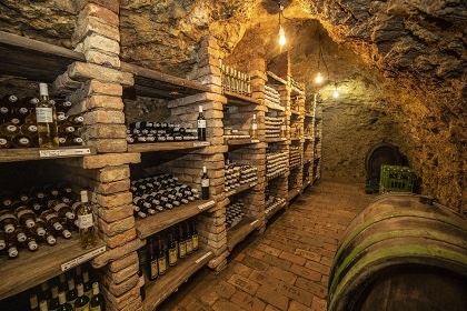 Chalupa s baz�nem - P�lavsk� vrchy - ji�n� Morava