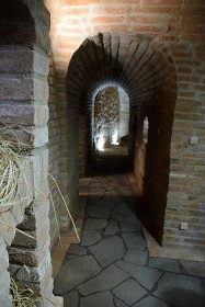 Penzion Pod Vinařským kopcem - Zaječí, Pálava