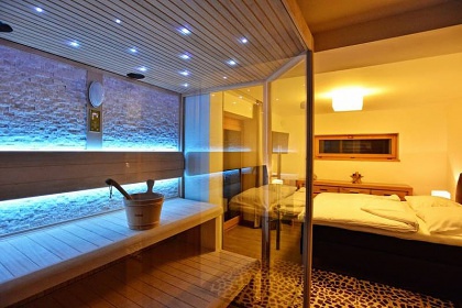 Wellness Apartm�n Horn� Domky - Lys� hora