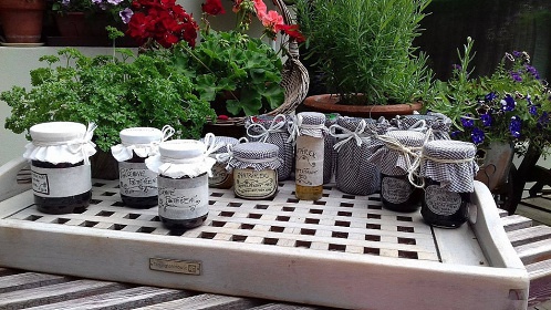 Chalupa u hradu Ka�perk - �umavsk� �dol�